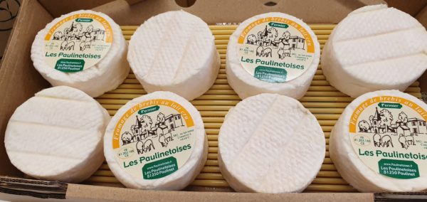 LOT DE 8 PETITS PAULINETOIS à 17,80€
