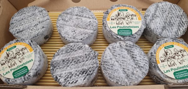 LOT DE 8 PETITS PAULINETOIS CENDRE à 19,70€